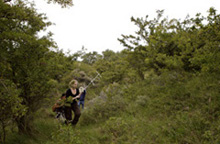 In bosrijk gebied worden zenderpijlen gebruikt  en ontvanger