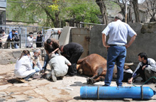 Ook hier bewaking en zuurstof