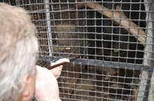 Narcose caracal / gebruik blaaspijp